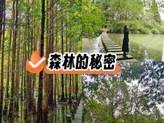 -桤木河湿地公园