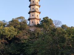 -江心屿景区