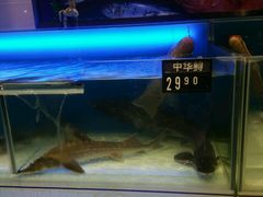 -中百仓储(新洲购物广场店)