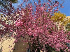 -云南艺术学院(呈贡校区)