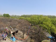 -朝阳公园游乐园