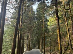 -南岳衡山风景名胜区