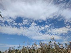 -长兴太湖图影湿地文化园
