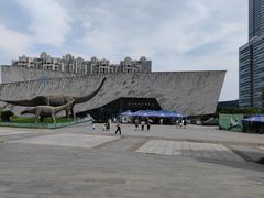 -安徽省地质博物馆