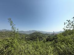 -白水寺森林公园