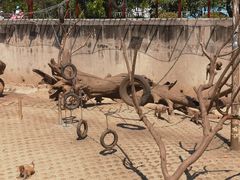 -西安秦岭野生动物园