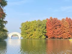 -上海海湾国家森林公园