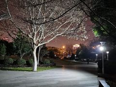 -玉山公园