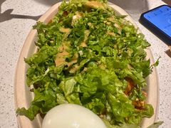 -油梨树 AVOCADO TREE(亮马桥店)