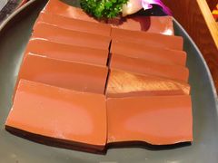 谭公鸭血-谭鸭血老火锅(远大购物广场店)