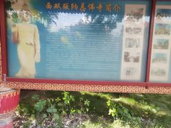 -曼听御花园