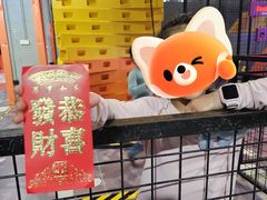 -嗨翻Hi-Fun竞技主题乐园·蹦床亲子生日轰趴(国光1937店)