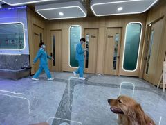 -pd派德宠物中心医院24H急重症·眼科中心·血液透析中心(嵩山北路店)