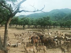 -西安秦岭野生动物园