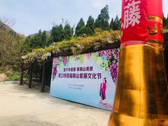 -龙口南山旅游景区