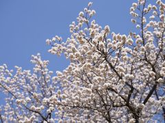 -吉林大学(南岭校区)