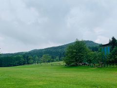 -武陵山森林公园