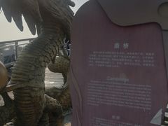 -卧龙湖