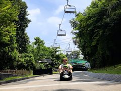 -圣淘沙天际线斜坡滑车