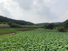 -棋盘山风景区