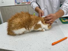 -狗舍宠物医院(四季商业广场店)