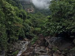 -天门沟九州驿站树上汤泉