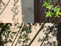 -耦园