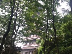 -宜兴龙背山森林公园