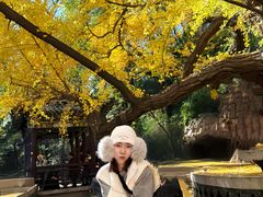 -晋祠公园