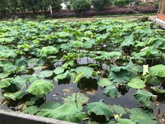 -千龙湖生态旅游度假区