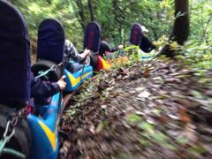 -藏龙百瀑风景区