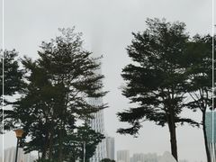 -广州塔
