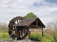 -同里国家湿地公园