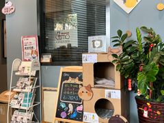 -御宝贝·A梦猫科宠物医院(国际猫友好医院)
