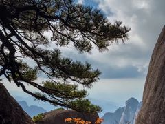-黄山风景区
