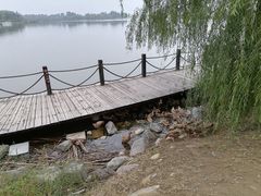 -野鸭湖国家湿地公园