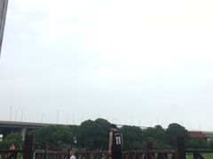 -荷塘月色湿地公园·向阳花洲