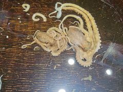 -好兄弟郭巨海鲜(天一阁店)