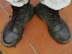 -恒绿农产品草莓采摘园