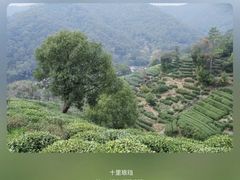 -十里琅珰