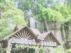 -西双版纳原始森林公园