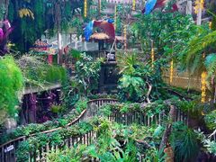 -正佳雨林生态植物园
