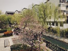-冶春茶社(珍园店)