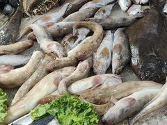 -和源祥·日照菜扛把子(万平口一店)