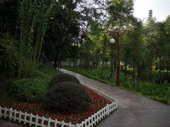 -重庆彩云湖湿地公园