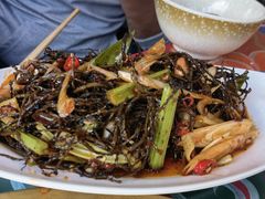 -四姑娘山阿巴郎·藏式花园餐厅