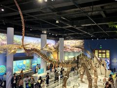 -国家自然博物馆