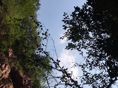 -伏羲大峡谷
