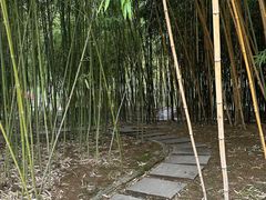 -青枫公园
