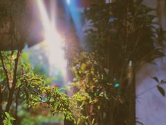 -春庄咖啡SpringHues(钟楼小区店)